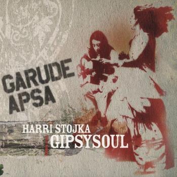 "Garude Apsa" ("Hidden Tears"), Stojka's 2005 CD dedicated to traditional and original Roma music