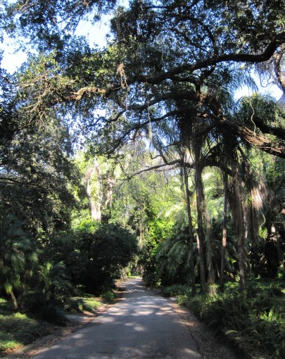 An idyllic, tree-lined street near Meinke's home
