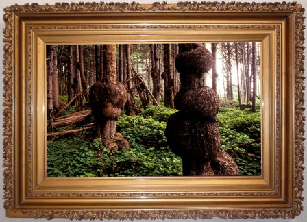 "Burl Forest" (digital C-print), a 2009 eco-baroque work from "Warlord Sun King" by Bruce Conkle and Marne Lucas (photo by Marne Lucas)