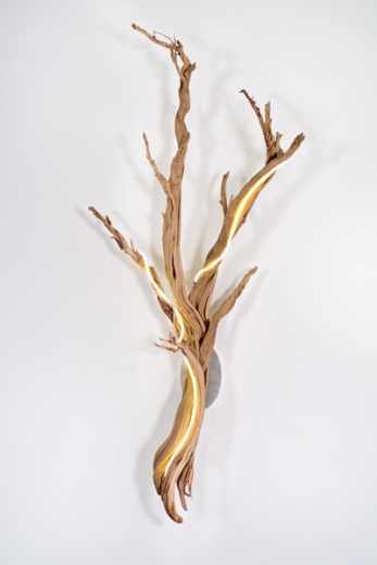 "Untitled Wood Series #3" by Lisa Schulte (photo courtesy of Lisa Schulte)