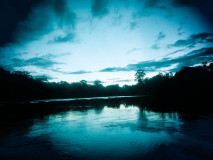 Tumucumaque National Park (© Filmtank)